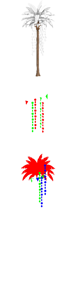 Palm Tree Party