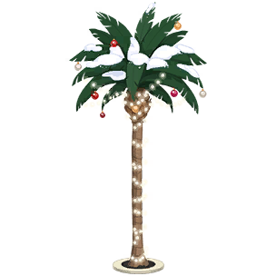 Holiday Palm