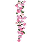 ever_2019_roses_dg