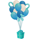 Packaged Balloons