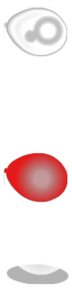 Balloon Party