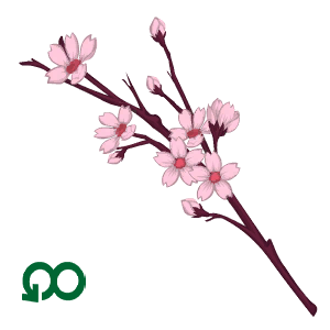 Blooming Petals