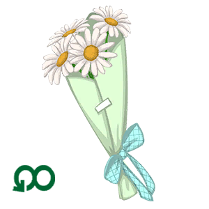 Spring Daisies