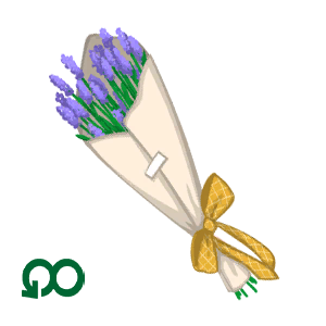Spring Flowers