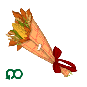 Fall Flowers