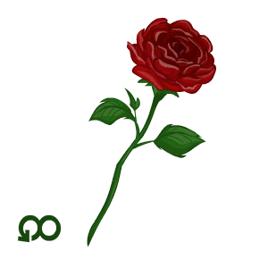 Single Rose