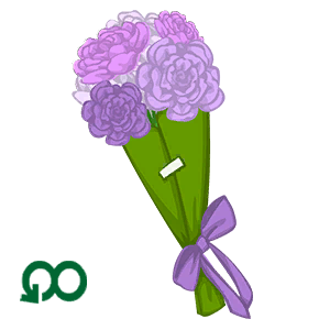 Summer Flowers