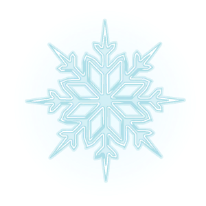 Snowflakes