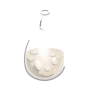 Egg Head