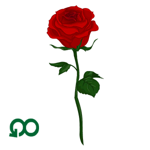 Red Rose
