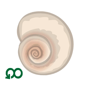 Guest in the Shell