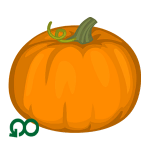 Pumpkin Party!