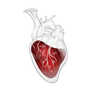 All Heart