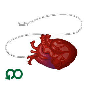 You Make My Heart Go YoYo