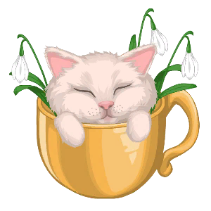 Kitty Cup
