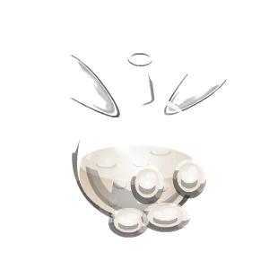 Rabbit Crowd