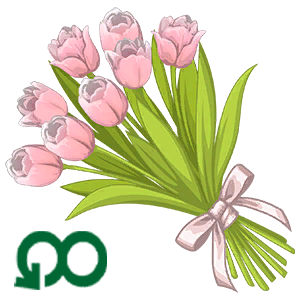 Tulip Dreams