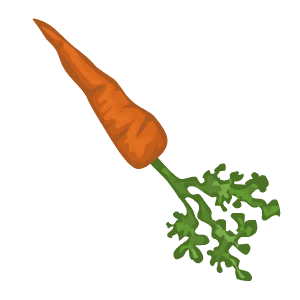Carrot