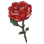 One Rose