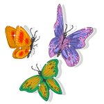 Butterfly On The Wall