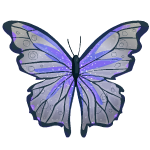 Metamorphosis
