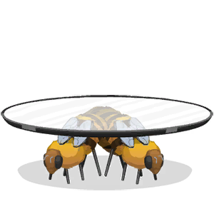 Bee Stable