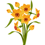 Easter Daffodils