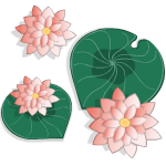 Lily on a Pad