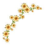 Flower Decoration