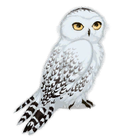 Messenger