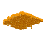 Honey Comb