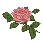 Vintage Rose