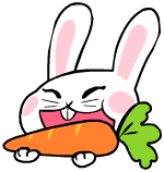 Carrot Bunny