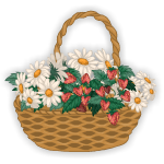 Full of Spring