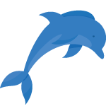 dolphin