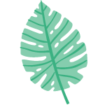 Palm
