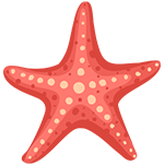 Sea Star