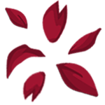 Valentine Rose Petals