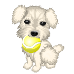 Puppy