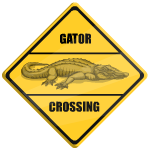 Gator Crossing