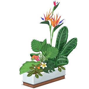 Jungle Colors