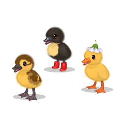 Ducklings
