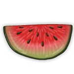 Slice of Melon