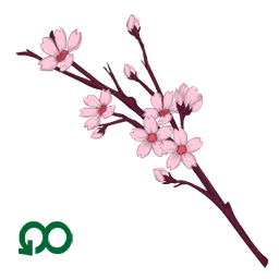 Blooming Petals