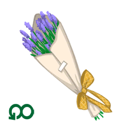 Spring Flowers