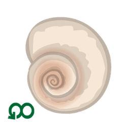 Guest in the Shell