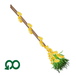 Broom