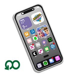 MSP Phone