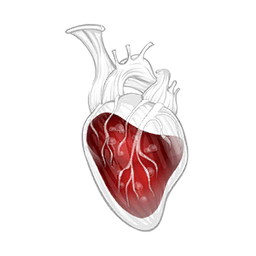 All Heart