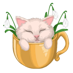 Kitty Cup
